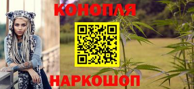 амф Можга