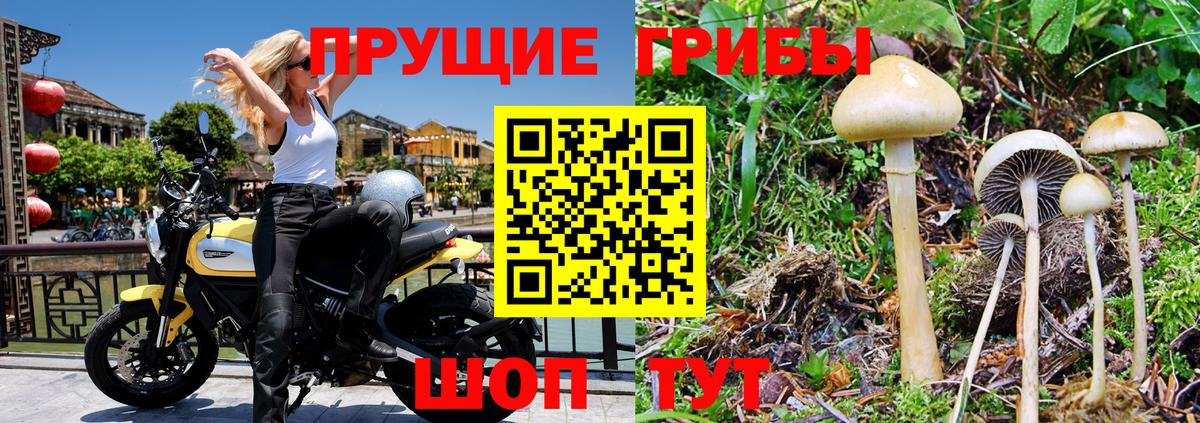 Галлюциногенные грибы прущие грибы Десногорск