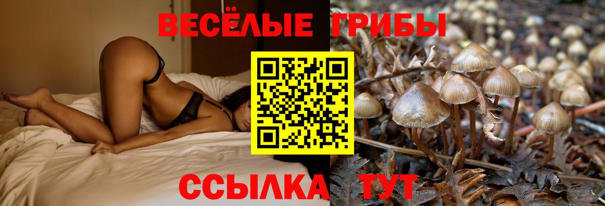 Галлюциногенные грибы ЛСД  Вход с VPN  где продают наркотики  Десногорск  Галлюциногенные грибы Cubensis 
